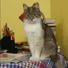 Отзыв от Ольга Рябова